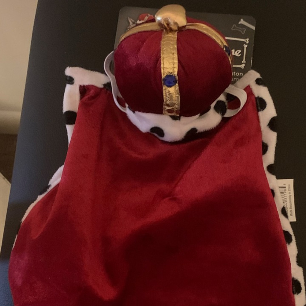 Cat/small dog costume queen costume
